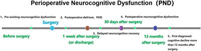 The Role of Gut Microbiota—Gut—Brain Axis in Perioperative Neurocognitive Dysfunction